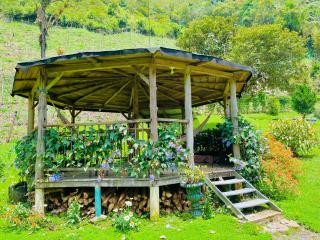 Hospedate entre Cascadas, Senderos y Paisajes Naturales - 5