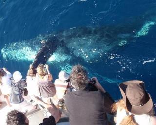 Oasis OC Pool l Spa 8 min 2 Beach - 6