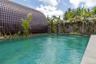 Ubud Lumbung Sari private pool - Ubud - 8