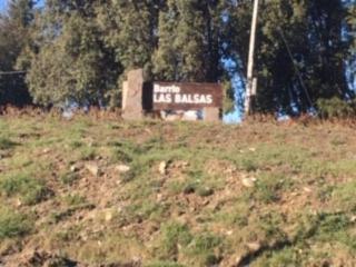 Casa moderna en el bosque - 1