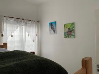 Apartamentos Colibrí - 3