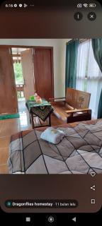 Dragonflies Homestay - 2