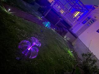 Homestay - Auckland - 1
