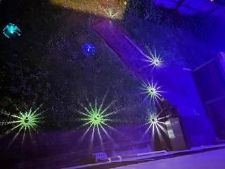 Homestay - Auckland - 2