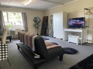 Close Motorway,Free Breakfast,Lovely Hot Spa,Private, - Auckland - 8