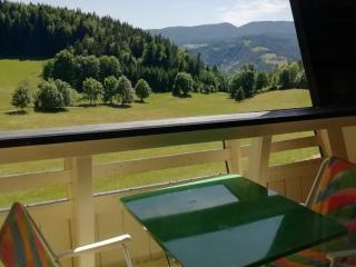 Studio cabine confortable proche pistes ski, 4 pers. - FR-1-689-147 - Villard-de-Lans - 1