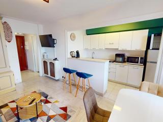 Studio RDJ avec terrasse, bord de mer, WIFI, animaux acceptés - FR-1-196-367 - Roquebrune-Cap-Martin - 9