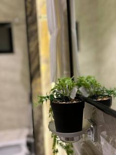 شقة دافئة شريان الشرق 5 - 3