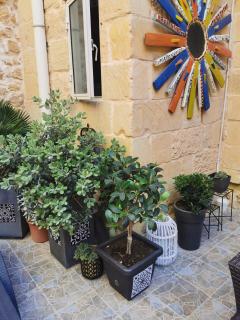 2 Large ensuite Bedrooms in Boutique Style Farmhouse B&B with Pool - 3