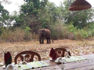 Green heaven safari resort Udawalawa - 4