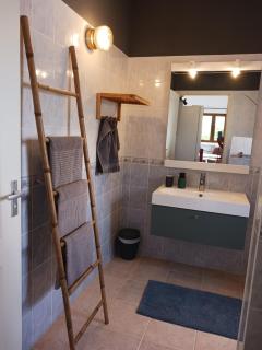 Andorina apartment 1km from arrifana beach - 6