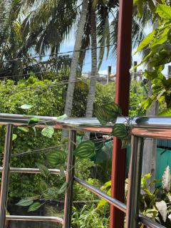 Alkimia - Weligama - 2