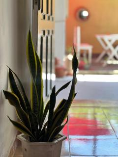 Alkimia - Weligama - 9