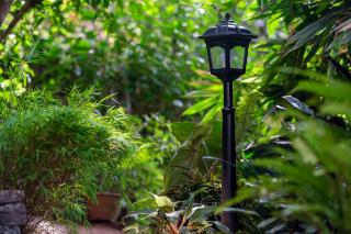 Windy Ridge Kandy - 4