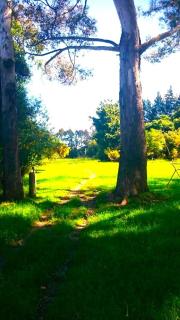 Taringatura Backpackers - Pukearuhe - 7