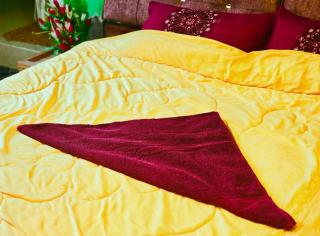 Rustic Retreat Homestay - Srinagar - 6