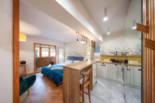 Tiny Studio Brasov - Brasov - 3