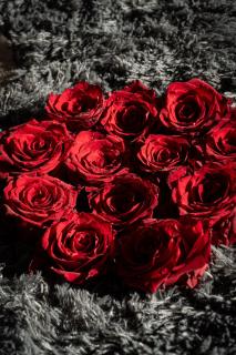 Residence of Victory - Prague - 2