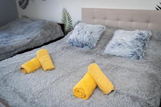 Penthouse Tiger Deluxe - Praga - 9