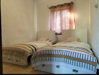 Country House Silves - Silves - 7