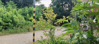 RM Homestay - Siquijor - 1