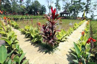 Katumbiri Resort by Tripletree - 4