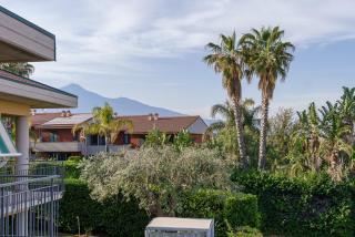 Little Rose garden - Aci Catena - 0