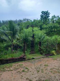 People's Farm - Horana - 6