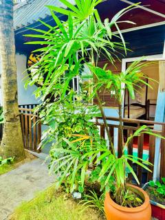 Cozy Sand Beach Hotel - Arugam Bay - 7