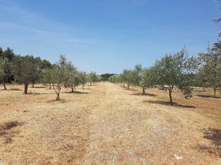 Secluded house in the nature - Valtura - 3