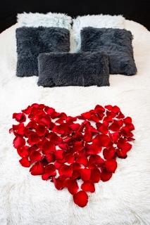 Black Diamond Suite - Prague - 4