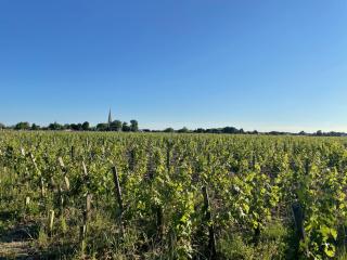 L'Amphore du clos de Bigos - Soussans - 3