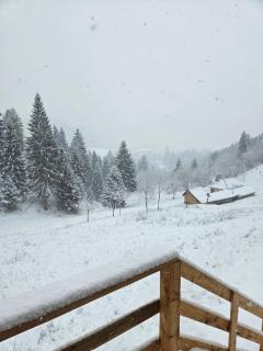 Altundeva la munte - 4