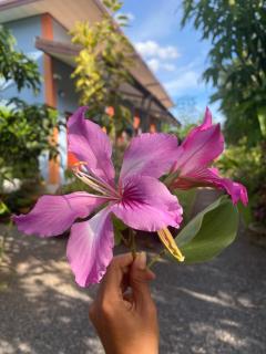Villafarmsuk@khanom - Khanom - 7