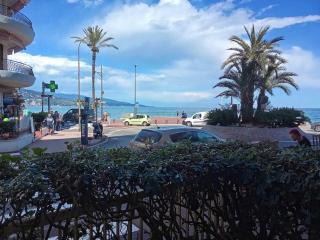 Studio RDJ avec terrasse, bord de mer, WIFI, animaux acceptés - FR-1-196-367 - Roquebrune-Cap-Martin - 2
