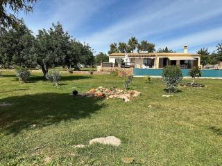 Casa Tranquility with beautiful pool and Jacuzzi! - Loulé - 6