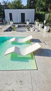 Luxurious large home with Pool, Garden, Koi Pond - Munich - 4