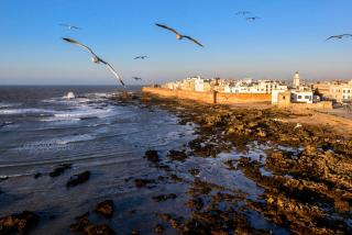 Dar Saffron Essaouira - Essaouira - 2