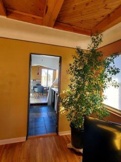 Lovely 2BR Pet Friendly Home in Heart of Nob Hill - Albuquerque - 6