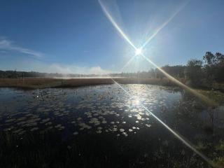 Half Moon Lake Retreat - 1