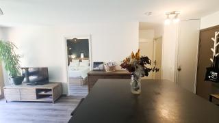 Appt Le Borgeal - rez de jardin, au calme - 7