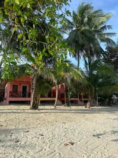 Noah's Ark Beachfront - Amphoe Koksamui - 9