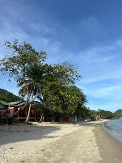 Noah's Ark Beachfront - Amphoe Koksamui - 5