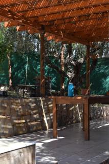 Casa Caminos del vino - Mendoza - 4