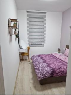 Ohridska apartmant - Bitola - 6