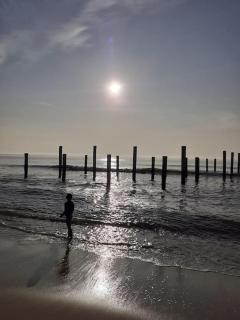 Het Zeepaardje Petten aan Zee - Petten - 6