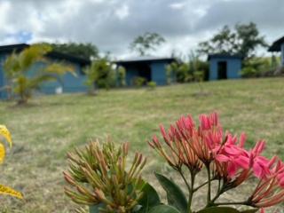 SALTY LODGE Bungalow 2 pers "SIROCCO" Pointe Faula Le VAUCLIN - 5