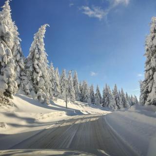 Sunčani breg resort & spa - Kopaonik - 4