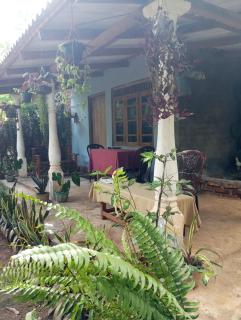 SIGIRI HUNTER HOMESTAY Hostel & Guide Room - Sigiriya - 3