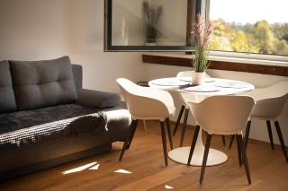 Mezonetový apartmán 2 u rybníka - Olomouc - 7